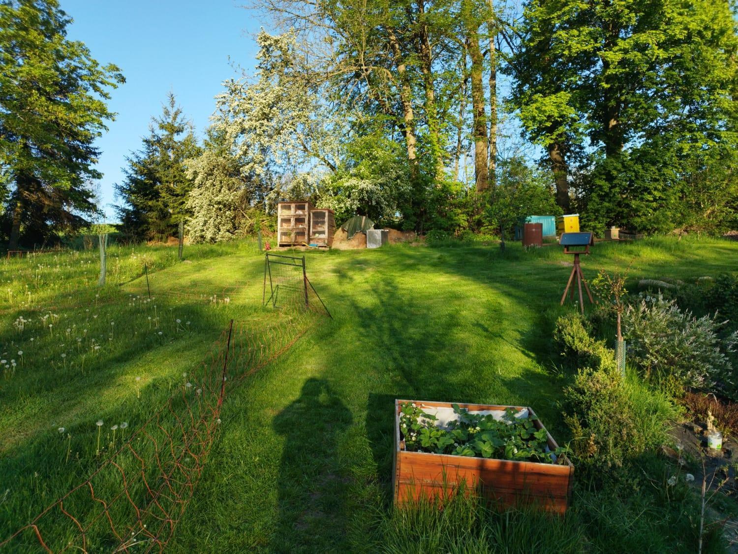Appartement Farma U Lesa à Hlinsko Extérieur photo